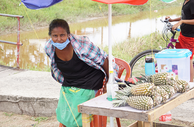 Pine vendor and resident of Belle Vue, Sapna Muniram at her roadside stand