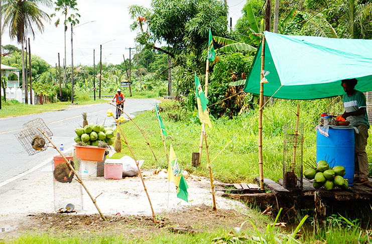 Christian Willems’ Road Side Stand (Carl Croker photos)