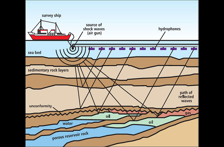 Diagram of an offshore seismic survey (Delivery Images photo)