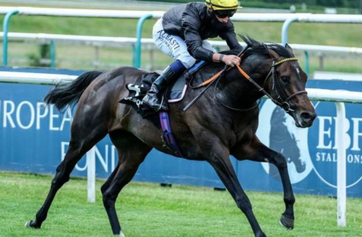 English King won by two and three quarter lengths at Lingfield this month.
