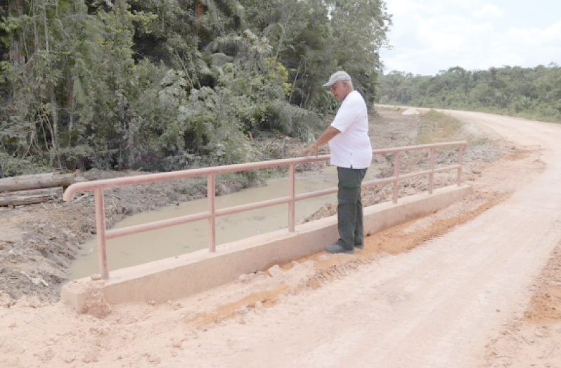 Minister of Agriculture, Noel Holder inspecting one of the bridges along the Ebini Road (Region 10)