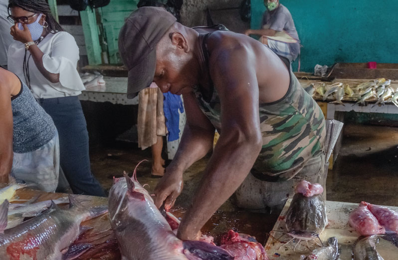 Bertie Skeete preparing a ‘catfish’ to make a sale on Tuesday at the Stabroek Market