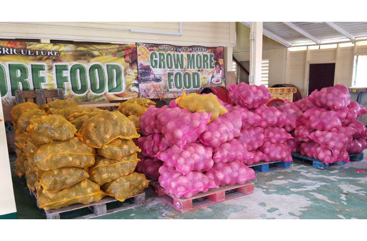 Non-traditional agricultural produce being prepared at GMC's packaging facility for export