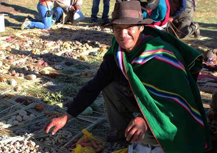 The Apachicuy initiative ties into a larger project in Peru that focuses on maintaining the rich agricultural biodiversity of this area (FAO photo)