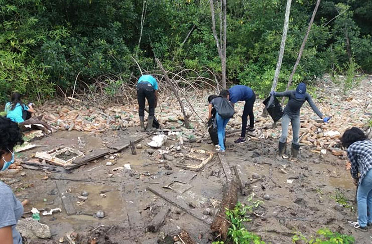 Youths clean up yards of plastic bottles affecting the growth of mangroves in Vreed-en-Hoop