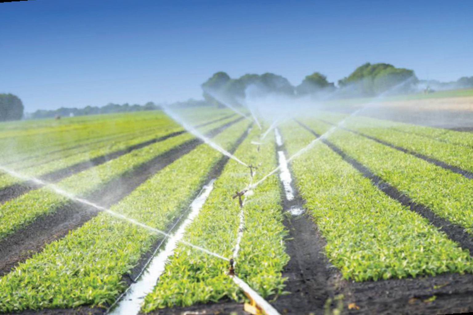 The EPA’S ROLE IN THE AGRICULTURAL SECTOR - Guyana Chronicle