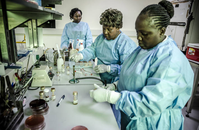 Members of the AMR Surveillance Pilot Study among chicken layering farmers within Kiambu County analyse samples in a laboratory in Nairobi, Kenya