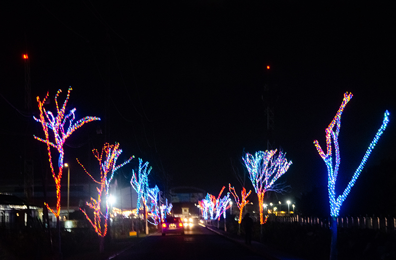 The Giftland Mall Trees Lit Up
