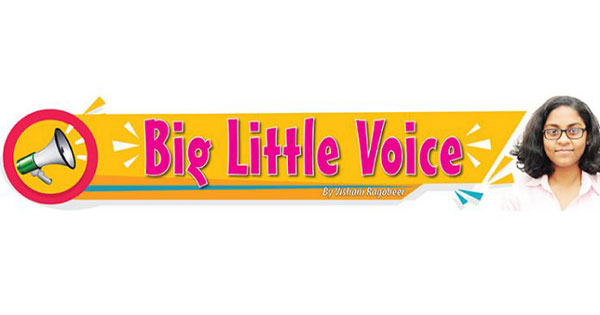 big_little_voice_fb2
