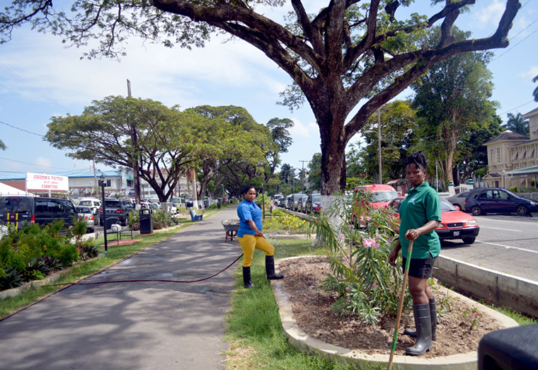 Two staffers of Mings Products and Services Limited (MPS) taking care of plants in the Main Street Avenue, Georgetown on an on-going basis (Photo courtesy of MPS)