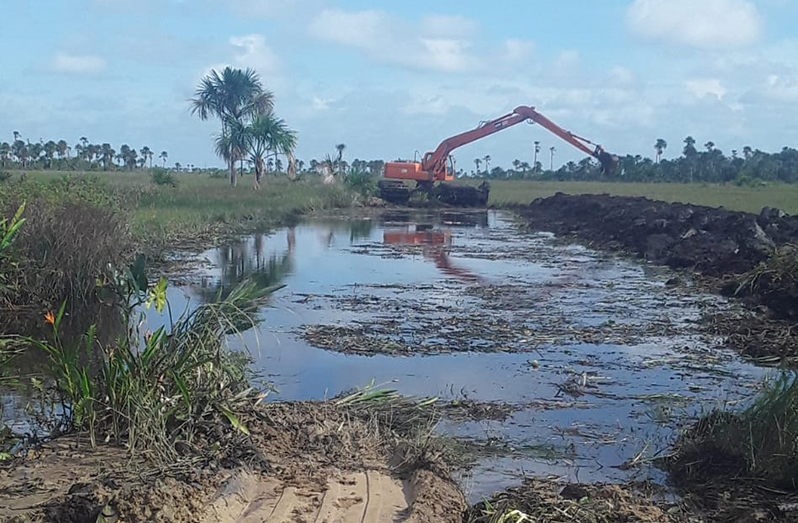 Works started in the Cane Grove cattle pasture