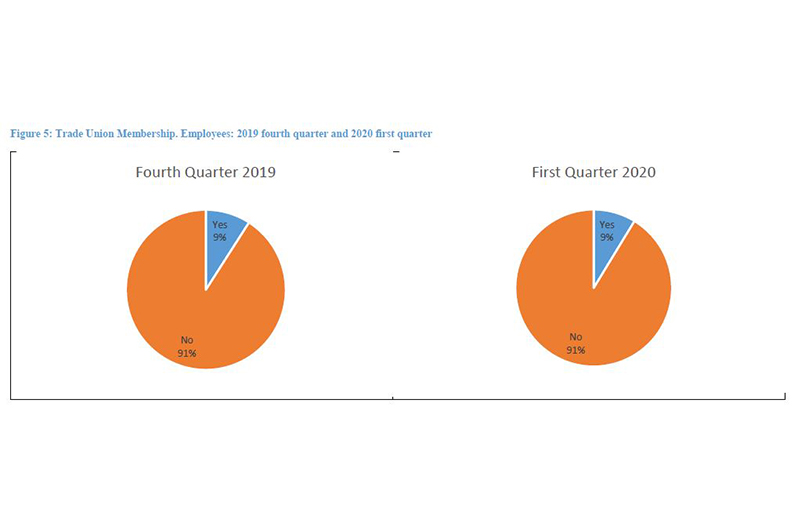 In the last quarter of 2019 and first quarter of 2020, over 90 per cent of employees were not covered by
representation of a trade union (Photo credit: Guyana Labour Force Survey 2020 First Quarter Report)