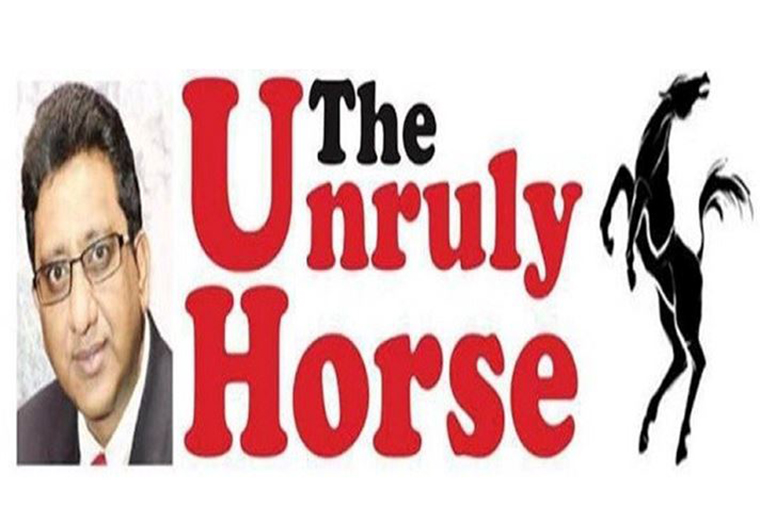 unruly-Horse