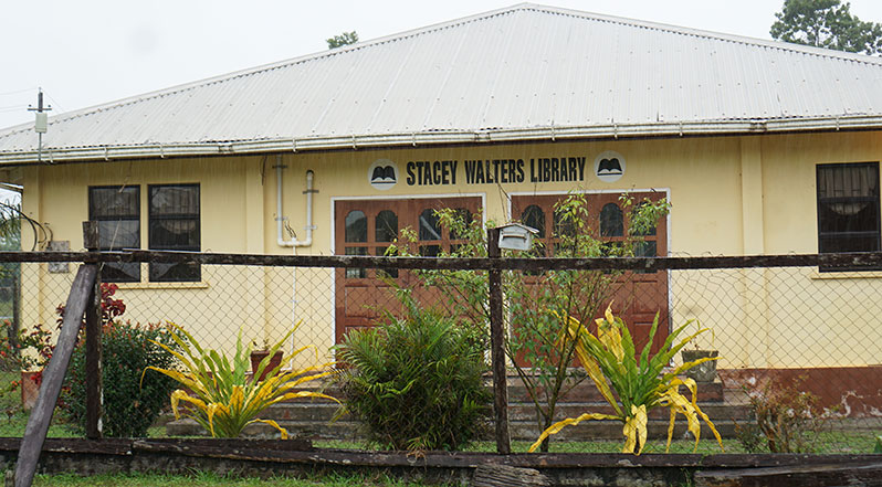 The Stacey Walters' Library