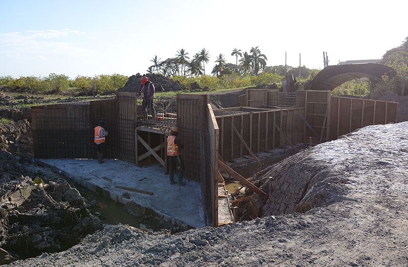 Contractors busy at work to complete infrastructural works at the new LBI Housing Scheme on the East Coast of Demerara (Delano Williams photo)