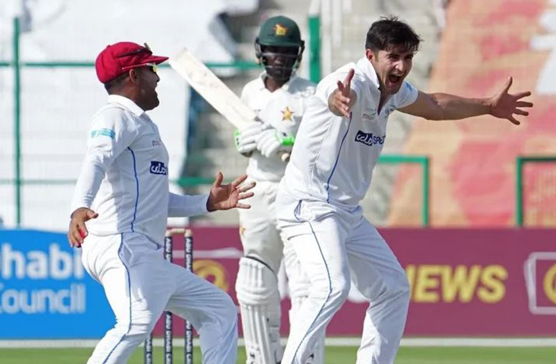 Amir Hamza grabbed 4 for 61, as Zimbabwe lost five wickets before taking the lead. (Abu Dhabi Cricket)