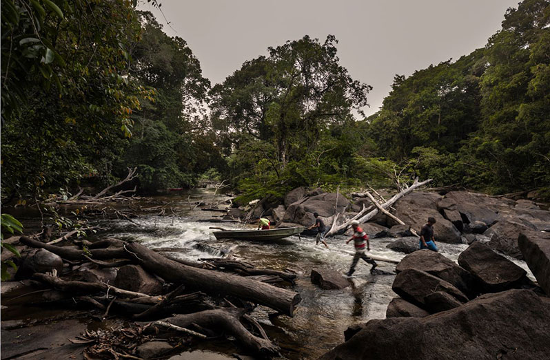 The Rupununi River, Guyana (FAO photo)