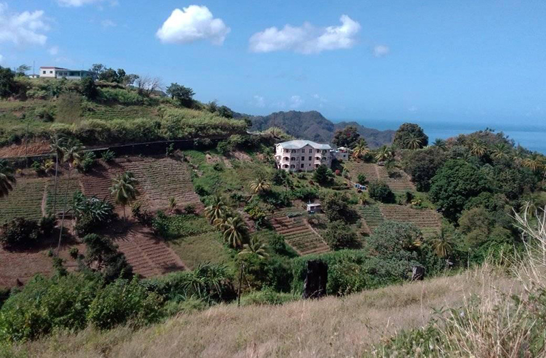 The Lampkins’ farm close to their home before the volcano erupted