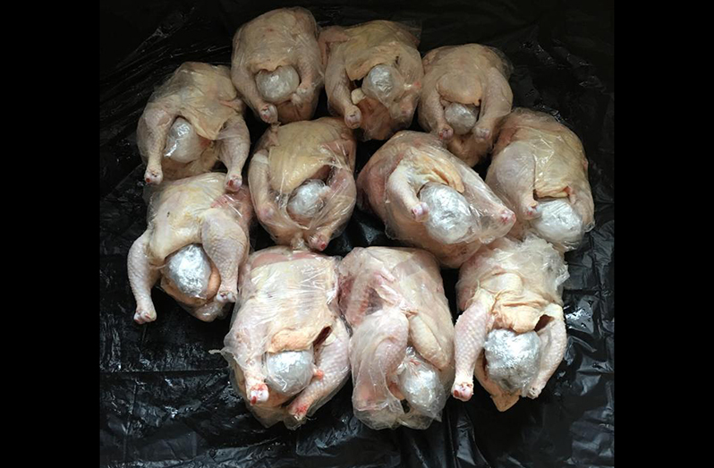 The chicken stuffed with cannabis and seized by the police