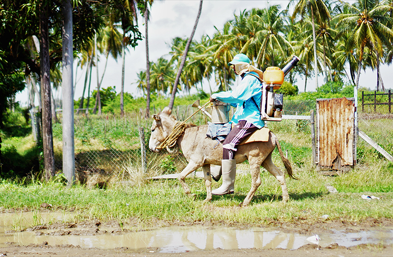 Yakusari Village (Carl Croker photos)