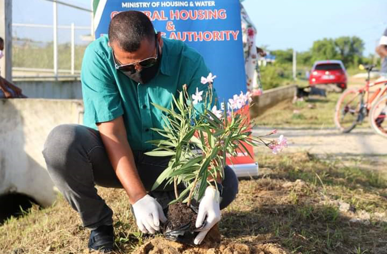 Minister of Housing and Water, Collin Croal, planting an oleander plant as part of the community enhancement project