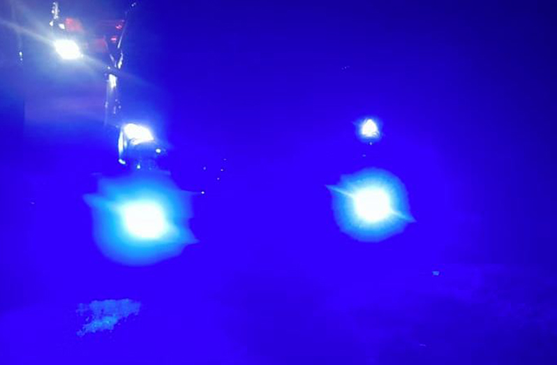 Blue headlights as displayed on a vehicle intercepted by the Guyana Police Force on Saturday last