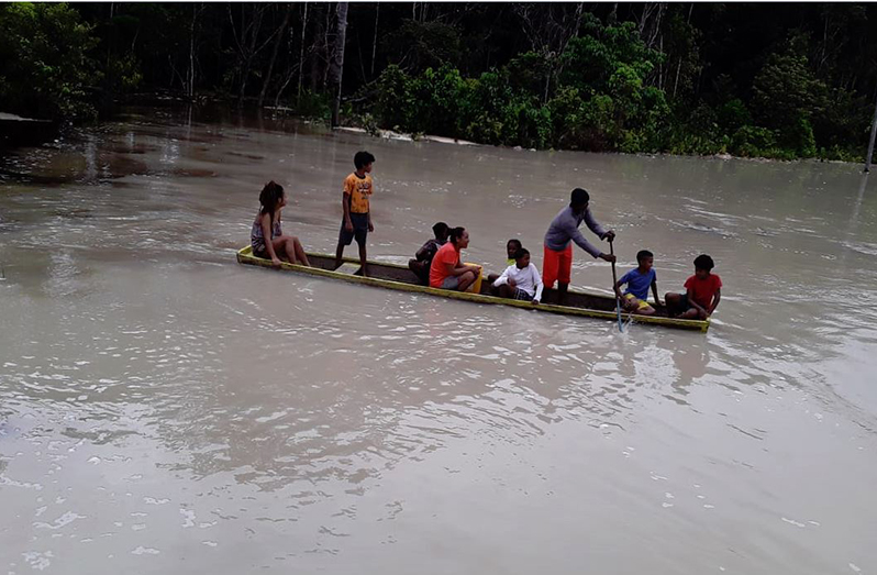 Residents using a canoe to move around their flooded community following the collapse of the tailings pond