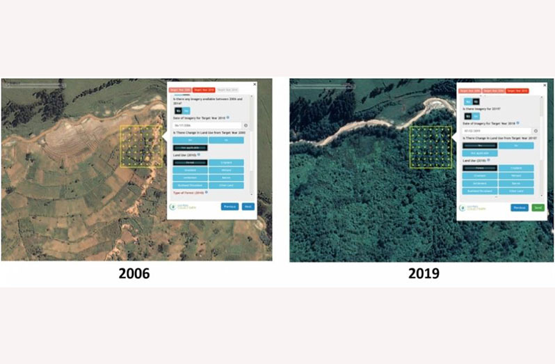 Thanks to the use of historical satellite data sets, mapathon exercises also allow governments and communities to see changing patterns over time, such as this example of successful restoration from Rwanda (FAO photo)