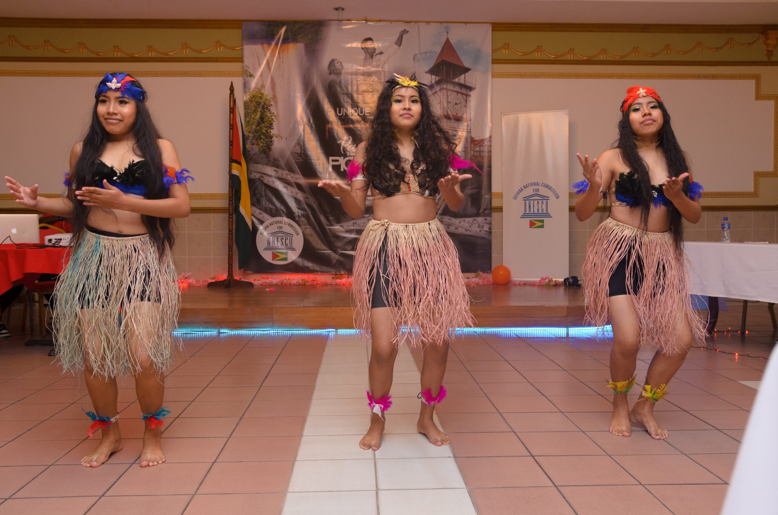 One of the cultural performances at the launch of “Painting the Picture”