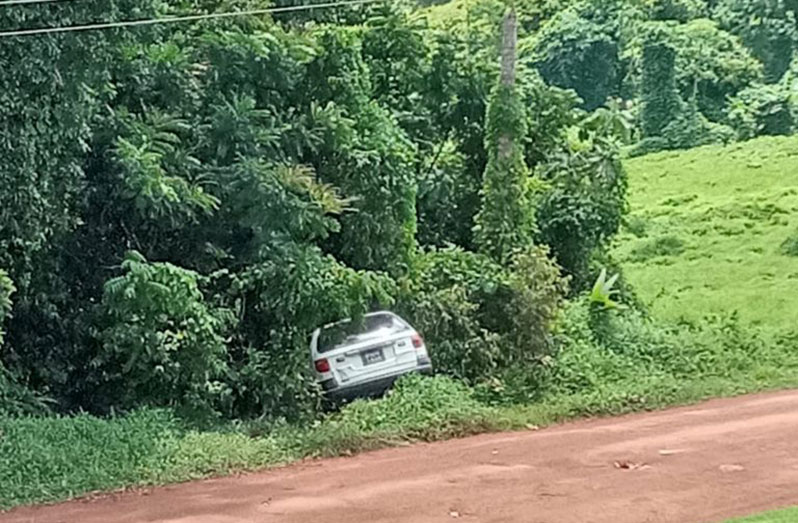 The motor vehicle, a white Toyota wagon, bearing registration number PNN1366, which ran off the road and crashed into a tree