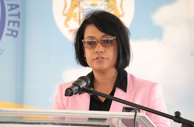 Minister within the ministry of Housing and Water, Susan Rodrigues