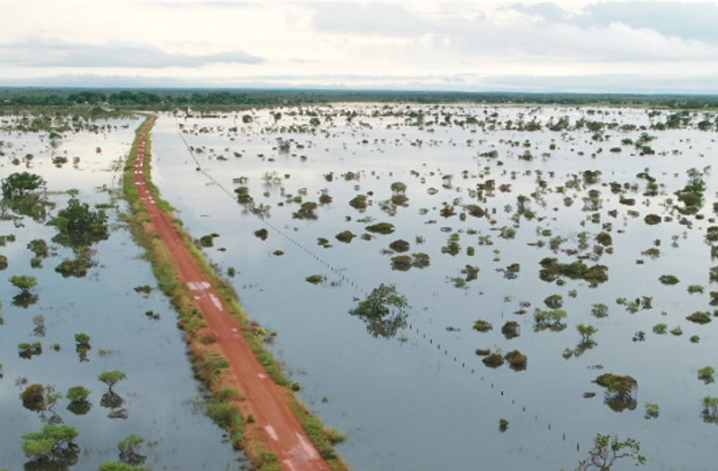 The campaign website, sweetwater.gy, explains the urgent need for freshwater protection (WWF-Guianas photo)