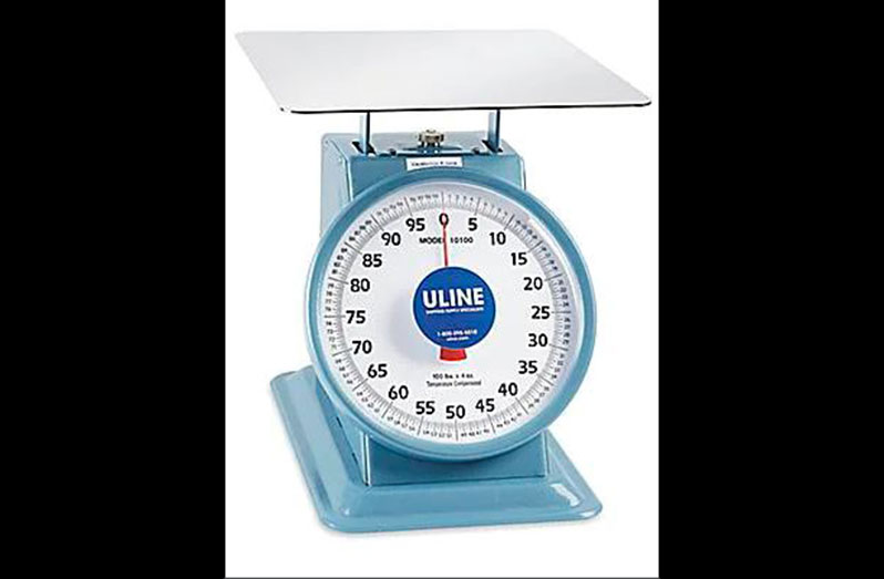 Thunder Group SCSL004 22 Lb Scale 