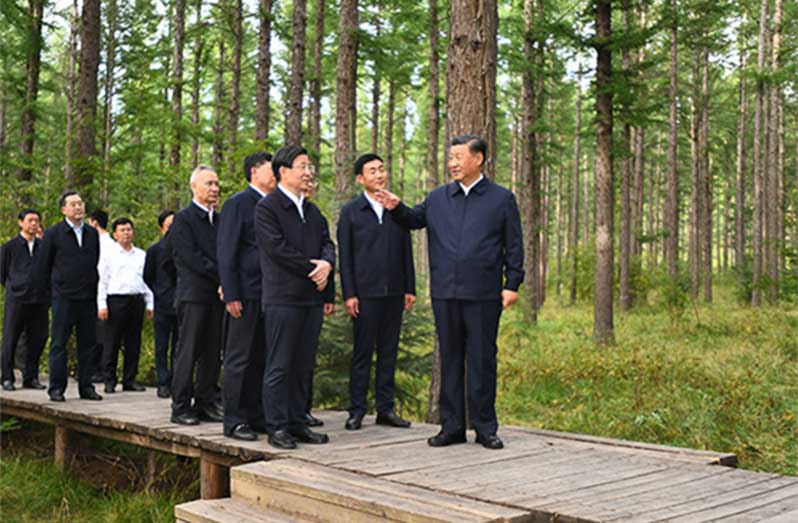 President Xi Jinping, also general secretary of the Communist Party of China Central Committee and chairman of the Central Military Commission, checks the growth of the trees, and learns about the promotion of the Saihanba spirit and the high-quality development of the Saihanba forest farm at a forest named after Wang Shanghai, a late official of the farm, in North China's Hebei province, Aug 23, 2021. Xi made an inspection tour of the Saihanba forest farm on Aug 23. [Photo/Xinhua]