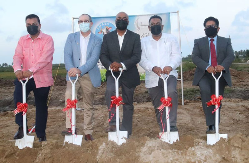 From left to right: GO-Invest’s Peter Ramsaroop; Canada’s Ambassador to Guyana, Mark Berman; Amaya Milk’s General Manager, Omkaar Sharma; Agriculture Minister, Zulfikar Mustapha and Senior Minister within the Office of the President with responsibility for Finance, Dr. Ashni Singh, turning the sod at the Onverwagt site (Ministry of Agriculture photos)