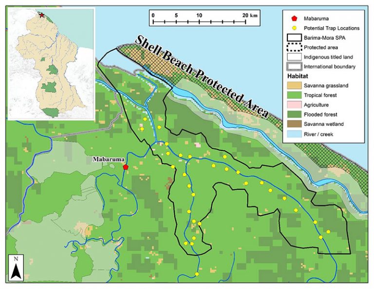 Rich biodiversity observed at proposed UNESCO World Heritage Site