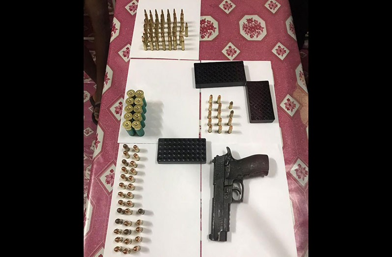 The air pistol and ammunition seized by the police