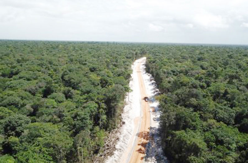 An aerial view of Guyana’s forest (DPI photo)