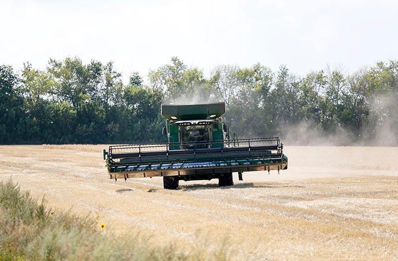Harvesting wheat in the Russian Federation (FAO photo)