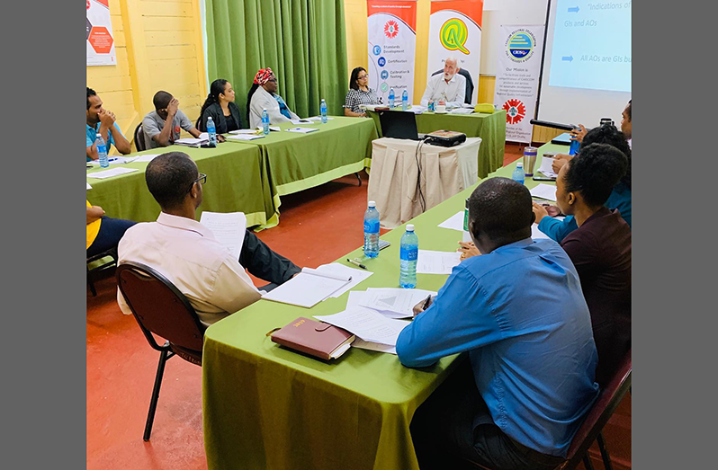 Staff of the Guyana National Bureau of Standards being trained on Geographical Indications