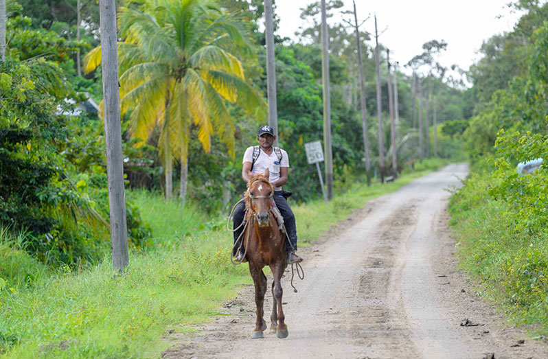 Hardat Sham after visiting his farm and cattle in New Forest, East Canje, Berbice (Delano Williams photos)