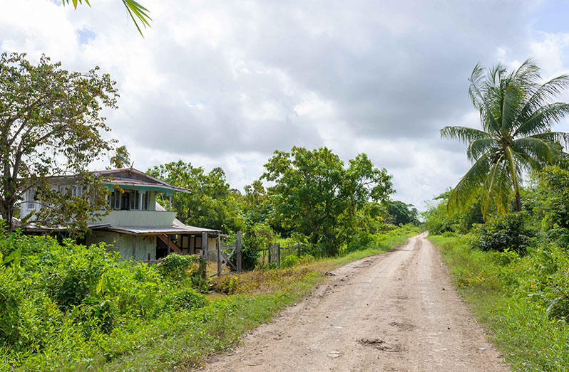 The villages along the Canje Creek, East Berbice, are perfect for a