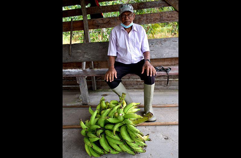 For The Love Of Farming - Guyana Chronicle