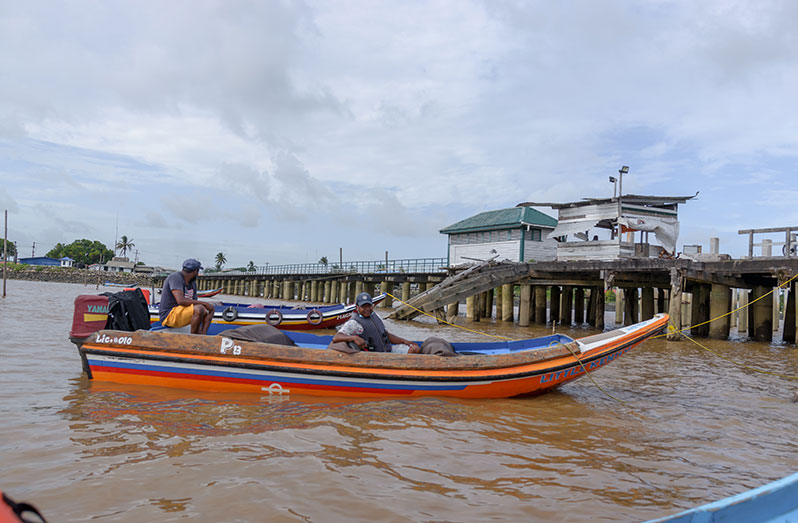 The Serene Leguan Island - Guyana Chronicle