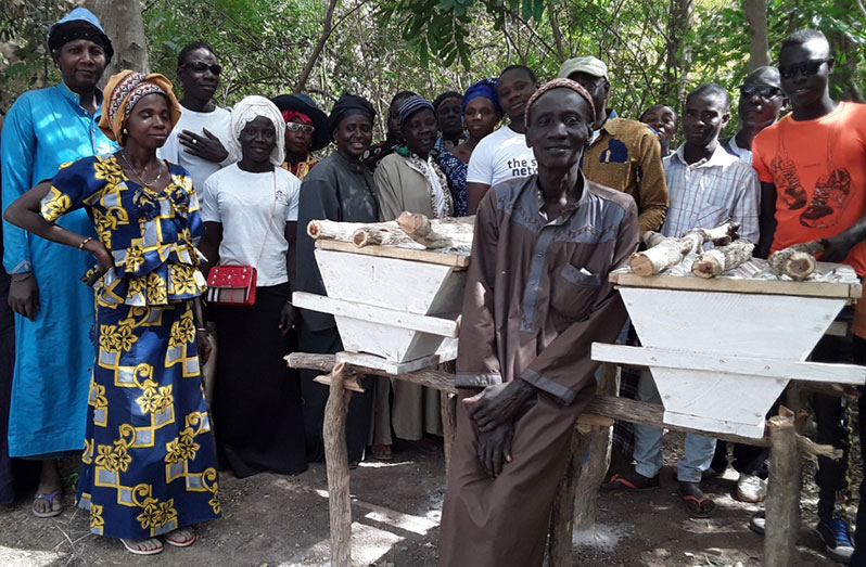 With bees and beehives dependent on forest settings, communities are more aware of how protecting these resources are also good for their livelihoods (FAO photo)