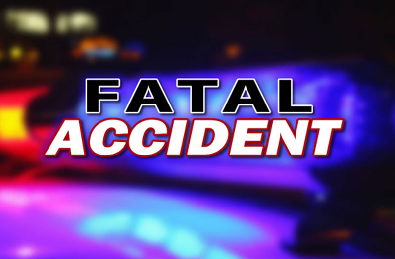 Fatal-accident