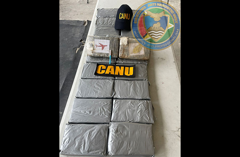 Some of the cocaine seized by CANU