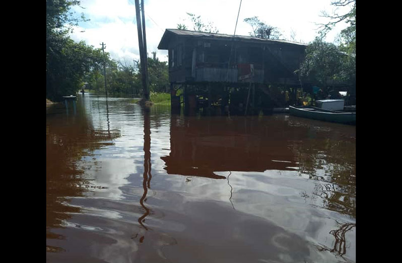 A section of the Lamp Island community in Kwakwani that is inundated (Cort Simeon photo)