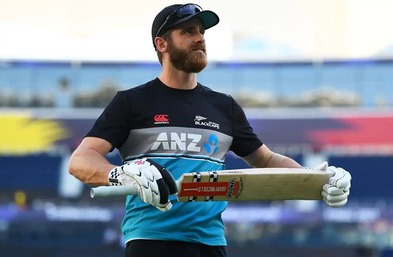 Kane Williamson hasn't played white-ball cricket for New Zealand since last year's T20 World Cup final .