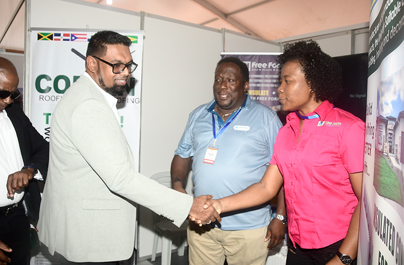 President, Dr Irfaan Ali shakes hands with Sales and Marketing Manager, Kadesha Walker as he visits the Free Form booth at the International Building Expo (Adrian Narine)